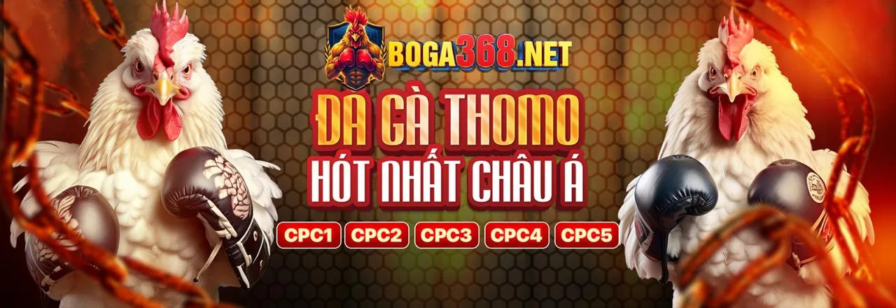Hình ảnh chính trang Câu Hỏi Thường Gặp của day8 trang chủ chính thức